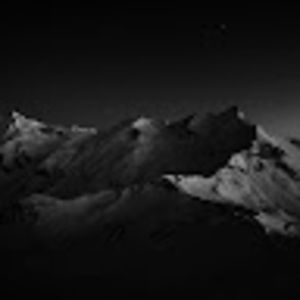 Meet your Posher, Donovan